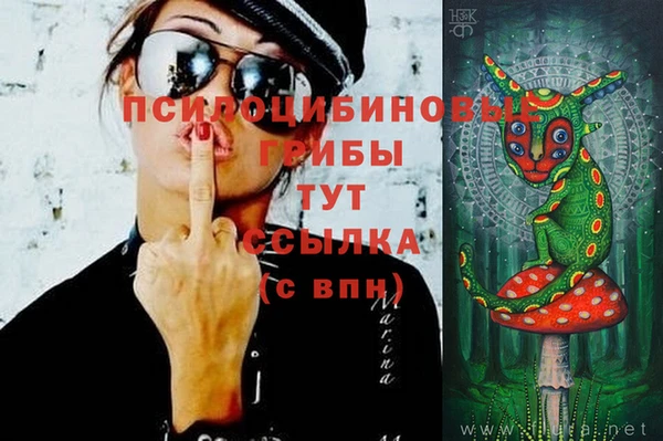 каннабис Алзамай