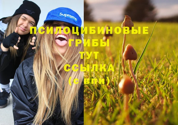 экстази Алексин