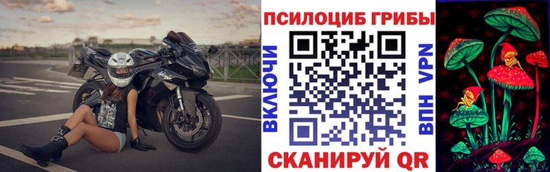 даркнет сайт Щёлково Псилоцибиновые грибы мухоморы